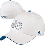 Washington Wizards White Tonal Flex Hat