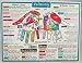Health & Personal Care : Helion Communications - Palmistry - Reference Charts