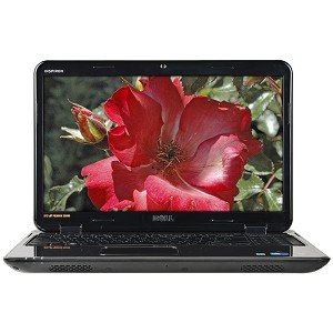  Laptop Deal on Black Friday Deals On Dell Inspiron Laptop   Intel Core I3 Processor