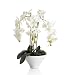 (04001232) Artificial Large Orchids in Pot in Household & Kitchen
