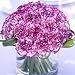 Send Fresh Cut Flowers - Carnation Centerpiece (3pc) - Purple