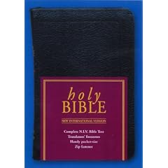 NIV Pocket Bible: New International Version (Bible Niv)
