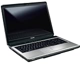 Toshiba Satellite L350D-11O 17,0 Zoll WXGA+ Notebook (AMD Turion X2 Dual Core RM-72 2,1GHz, 3GB RAM, 320GB HDD, ATI Radeon 3100 Graphics, DVD+- DL RW, Vista Home Premium)