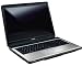 Toshiba Satellite L350D-11O 17,0 Zoll WXGA+ Notebook (AMD Turion X2 Dual Core RM-72 2,1GHz, 3GB RAM, 320GB HDD, ATI Radeon 3100 Graphics, DVD+- DL RW, Vista Home Premium)