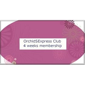Orchidsexpress Club Dendrobium Orchids Membership by 