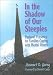 Shadow of Our Steeples: Pastoral Presence for Families Coping with Mental Illness