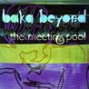 Image of album by Baka Beyond