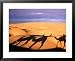 Camel Ride Shadows Across Sahara, Ksar Ghilane, Kebili, Tunisia Scenic Framed Art Poster Print by Christopher Groenhout, 31x25
