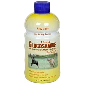 Botanical Laboratories Liquid Glucosamine for Dogs