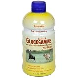 Botanical Laboratories Liquid Glucosamine for Dogs, Tasty Bacon Flavor, 16 fl oz (480 ml)