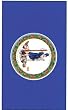 Virginia State Garden Size Applique Flag