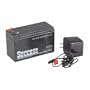 12V Battery & 110V Charger