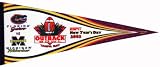 2003 Outback Bowl - Florida Gators vs Michigan Wolverines Pennant