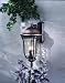 Minka Lavery Lights 8752-161 Large Wall Mount Light - Mossoro Walnut Outdoor Lighting