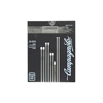 Campagnolo Record Ergo Road Brake & Derailleur Cable Set. Includes: 4 cables, housing, and ferrules. Stainless, Black, 1.6mm/1.2mm Carded.