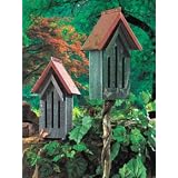 Heartwood Copper-Top Butterfly House Green by A Bird