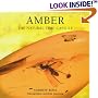Amber (Earth)