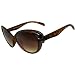 the Latest! Rococo Design Sunglasses! In Tortoise
