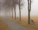 Foggy Day - Keith Levit Art Print Poster 21 x 17 - FRAMED