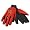 Maryland Terps