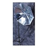 180 watt-second Studio Monolight Portrait Kit with Silver Umbrella and Light Stand