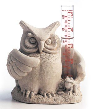 Cast Stone Whoo's Wet Owl Bird & Frog - Rain Gauge Or Candle Holder Concrete Sculpture