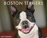 Boston Terriers 2013 Wall Calendar