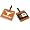 Texas Longhorns