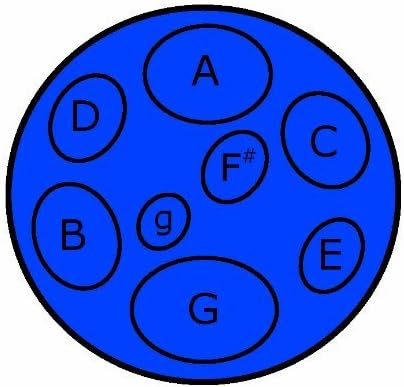 Jumbie Jam Steel Drum Musical Instrument with FREE popular jumbie jam song book, Blue