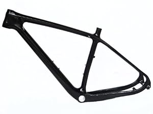 Full Carbon 3K Glossy 29er Mountain Bike MTB 29