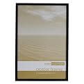 Modern Poster Frame - Black (24x36")