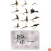 Eastern Trout Fly Fishing Flies Sampler Plus Fly Box