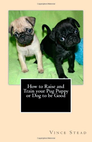 How to Raise and Train your Pug Puppy or Dog to be Good-how to train puppy