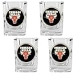 Chicago Bulls 4pc Square Shot Glass Set NBA Basketball