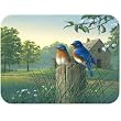 12 x 16 Inch Large Mouth Bass Tempered Glass Kitchen Cutting Board by McGowan Manufacturing