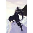 Forgotten Realms Omnibus 2: Books 4-6 (Forgotten Realms Omnibus: Legend of Drizzt Collector's Edition) (v. 2, Bks 4-6) by R. A. Salvatore, Tim Seeley, and Val Semeiks