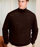 Traveler Stain-Resistant Merino Turtleneck Sweater
