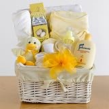 Welcome New Addition Baby Gift Basket