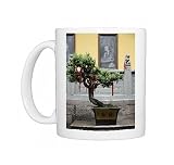 Tree with prayer ribbons, Jade Buddha temple, Shanghai, China, Asia Photo Mugs