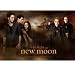 Trio & Volturi - The Twilight Saga: New Moon Movie Poster