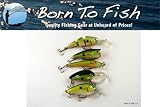 Lot of 5 Tennessee Shad Colored Fishing Lure Crankbaits for Bass and Trout