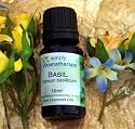 SA Basil 10ml