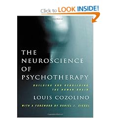 The Neuroscience of Psychotherapy: Healing the Social Brain (Norton Series on Interpersonal Neurobiology)