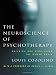 The Neuroscience of Psychotherapy: Healing the Social Brain (Second Edition)  (Norton Series on Interpersonal Neurobiology)