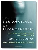 The Neuroscience of Psychotherapy: Healing the Social Brain (Second Edition)  (Norton Series on Interpersonal Neurobiology)