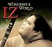 WONDERFUL WORLD