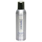 Sebastian Laminates Hair Spray 8.5 Ounces