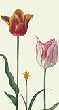 Caspari Tulipa Set of 15 Paper Guest Towels, White