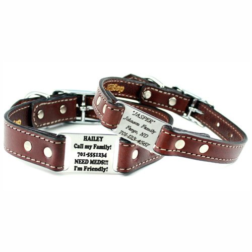 DogIDs English Bridle