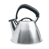 Review OXO 1067493 / Oxo Good Grips Downpour Tea Kettle, Brushed Stainless